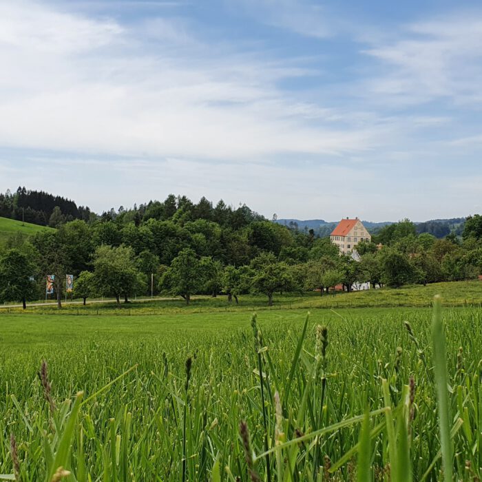 Schloss Achberg aus der Ferne 2020 | Foto Lisa Schmidt