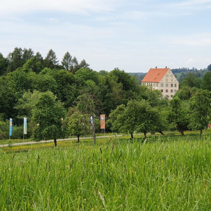 Schloss Achberg im Grünen