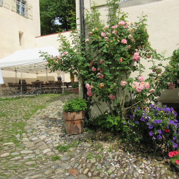 Rosen am Schlosscafé